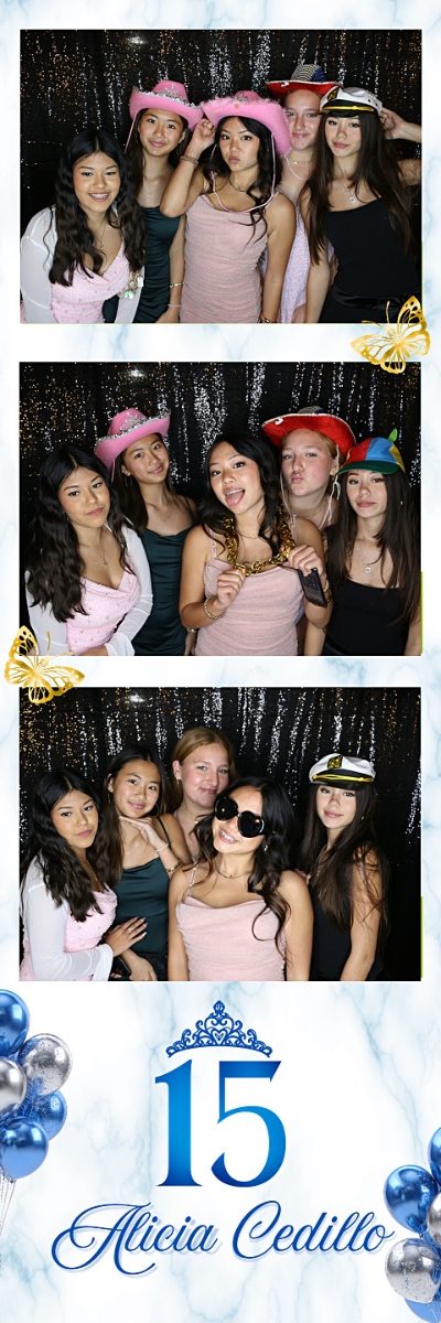 Photo booth 2x6 strip