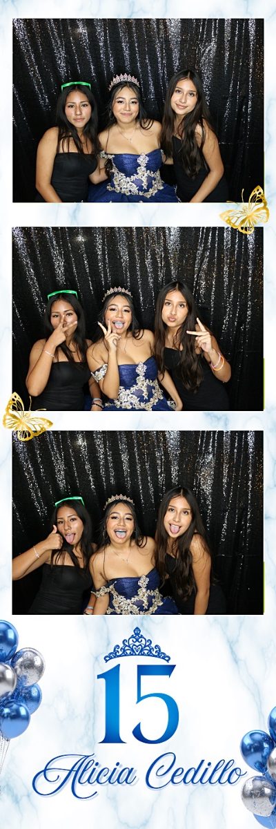 Photo booth 2x6 strip