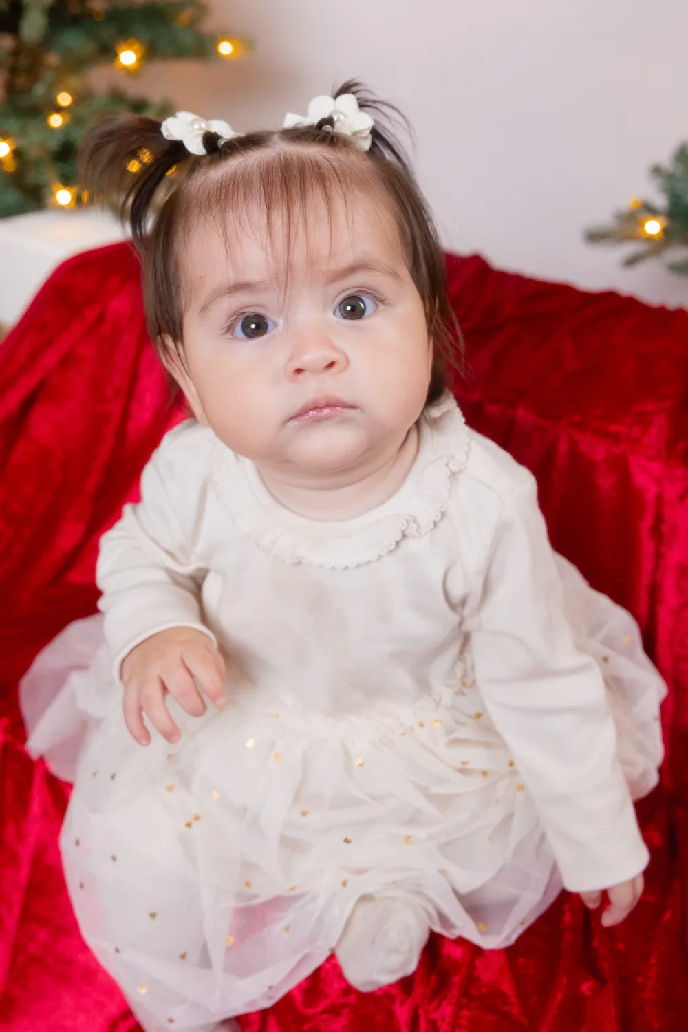 Holiday studio portrait session at JSOLOVISUALS in Poway, CA